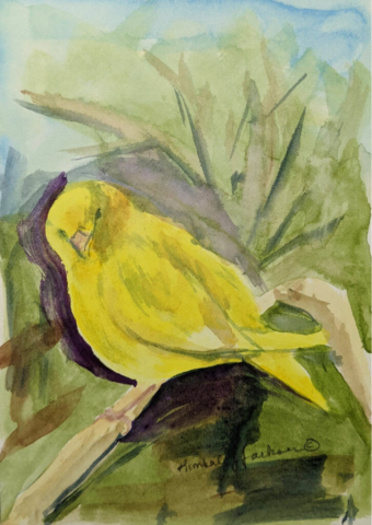 Aviary 2
