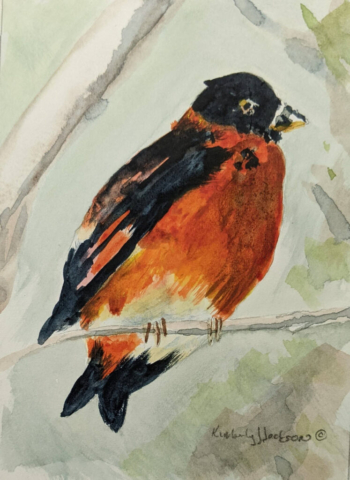 Aviary 3