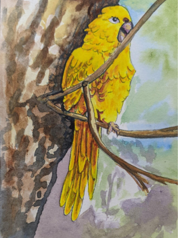 Aviary 4