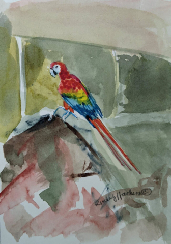 Aviary 8
