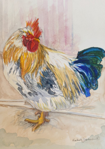 Chicken 1