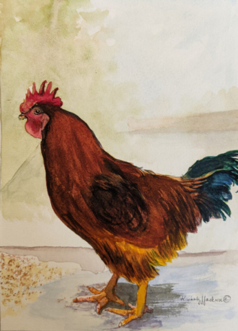 Chicken 2