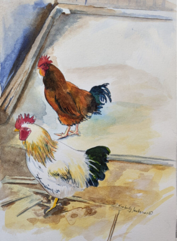 Chicken 3