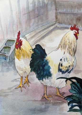 Chicken 4