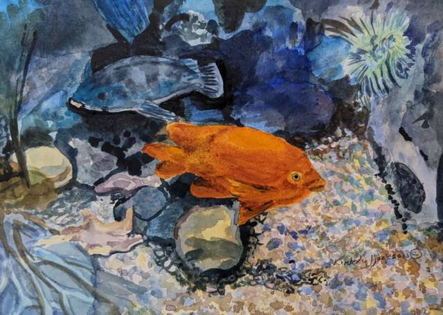 Gold Fish