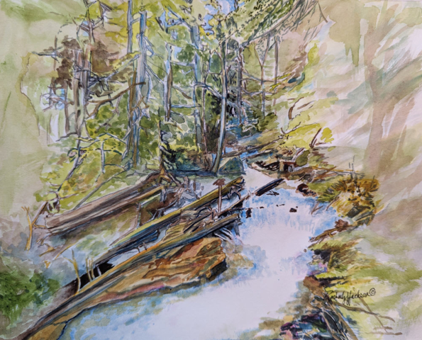 Water 017