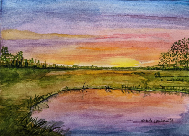 Water 798