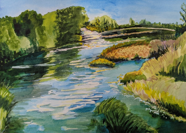 Water 803